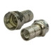 FICHA F Macho RG59 